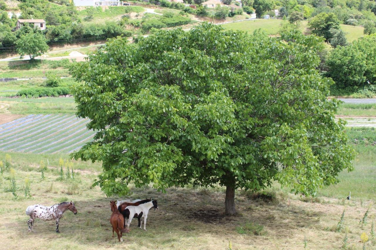 וואלנסול Chateau Du Grand Jardin מראה חיצוני תמונה